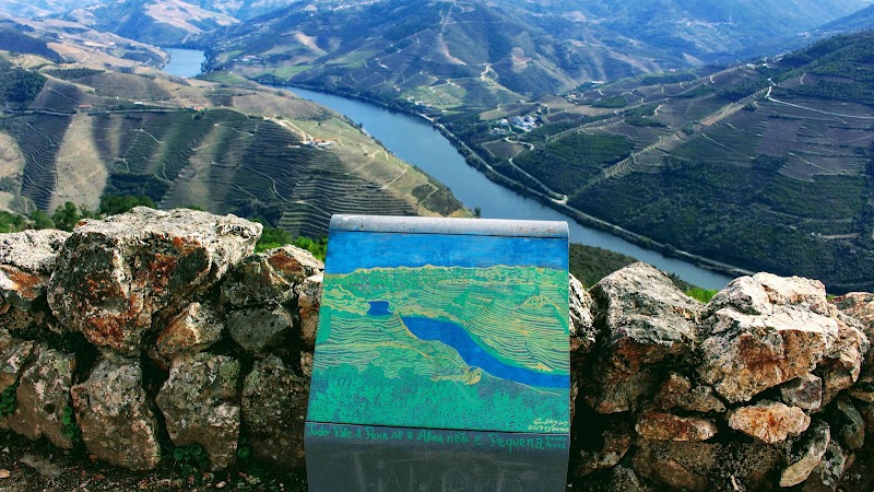 Miradouro São Leonardo de Galafura - Miradouro São Leonardo de Galafura N 313 1, Galafura, Portugal