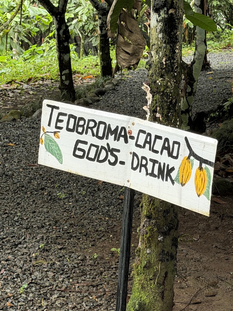 Eden Chocolate Tour - Eden Chocolate Tour, Alajuela Province, La Fortuna, Costa Rica