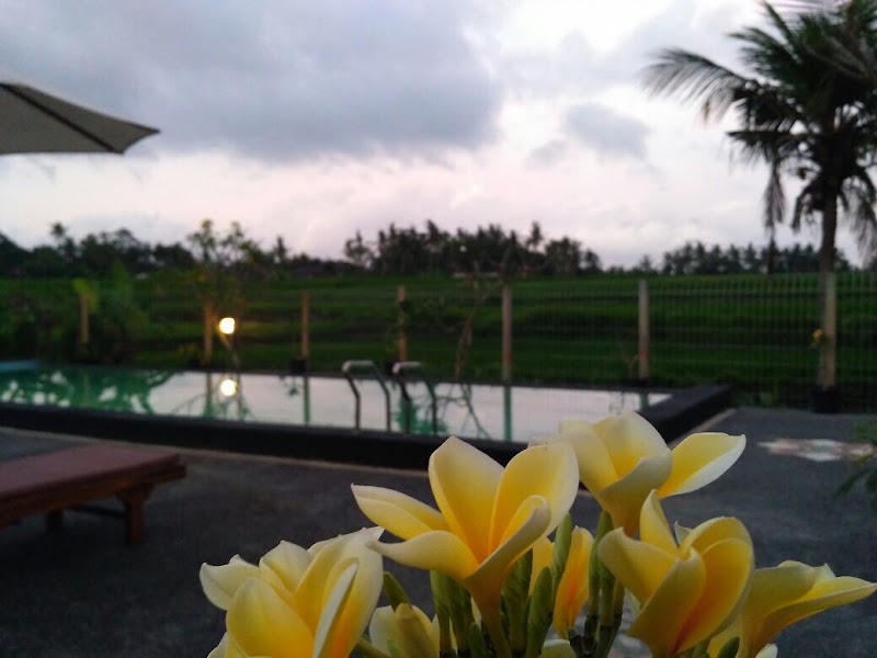 Uma Sari Ubud Villas - Uma Sari Ubud Villas F7CC+6P2, Jl. Cok Rai Pudak, Peliatan, Kecamatan Ubud, Kabupaten Gianyar, Bali 80571, Indonesia