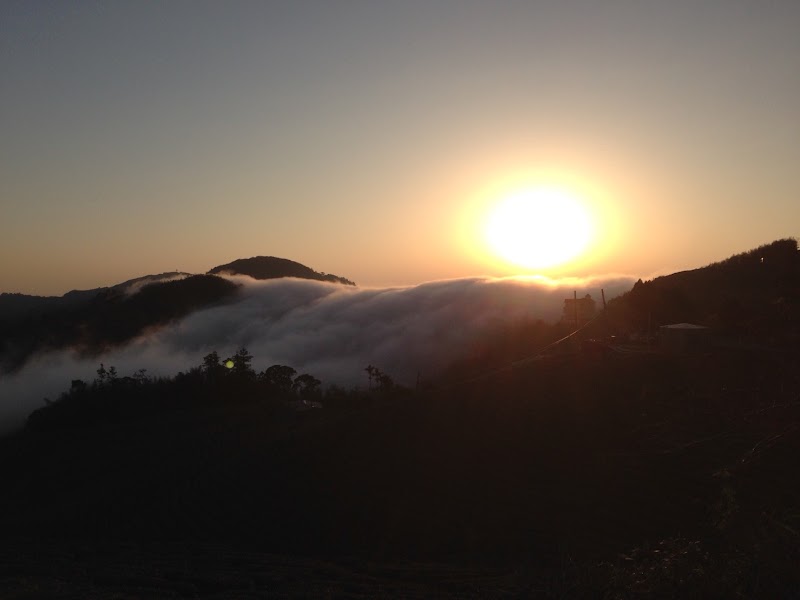 茶雲居 Tea Cloud Guest House - 茶雲居 Tea Cloud Guest House No. 116-2號, Leye Village, Alishan Township, Chiayi County, Taiwan 605