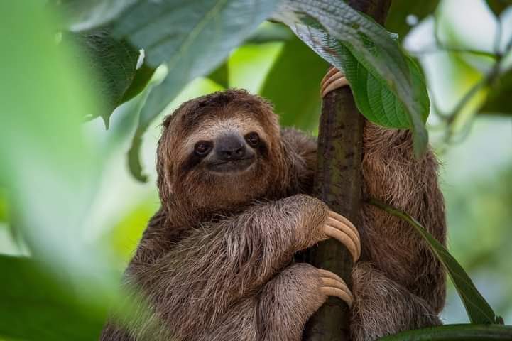 Tours Privados Arenal - Tours Privados Arenal, LAFORTUNA, jauri Alajuela jauri , fortuna Latitud 10.4556315, Longitud -84.6419520, Provincia de Alajuela, San Carlos, 21007, Costa Rica
