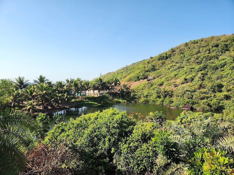 SWEET VALLEY COTTAGES - SWEET VALLEY COTTAGES, Khalcha wada, 185/0, near Famafa, Khalchawada, Arambol, Goa 403524, India