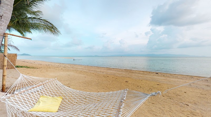 Sea Love Bungalows - Sea Love Bungalows, 1, 2, Tambon Ban Tai, Koh Phangan, Chang Wat Surat Thani 84280, Thailand