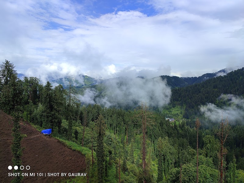 Janjehli Camping - Janjehli Camping Vill. Ruhara P.O Janjehli Teh. Thunag Distt. Mandi (H.P), Shikari Temple Rd, Riara, Dhalyar, Himachal Pradesh 175047, India