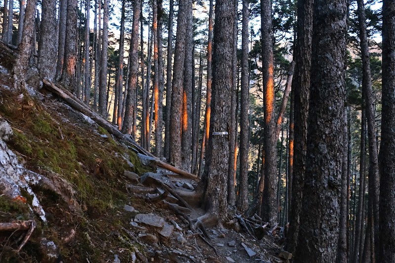Xueshan Main Peak - Xueshan Main Peak, 96MJ+9P, Heping District, Taichung City, Taiwan 424