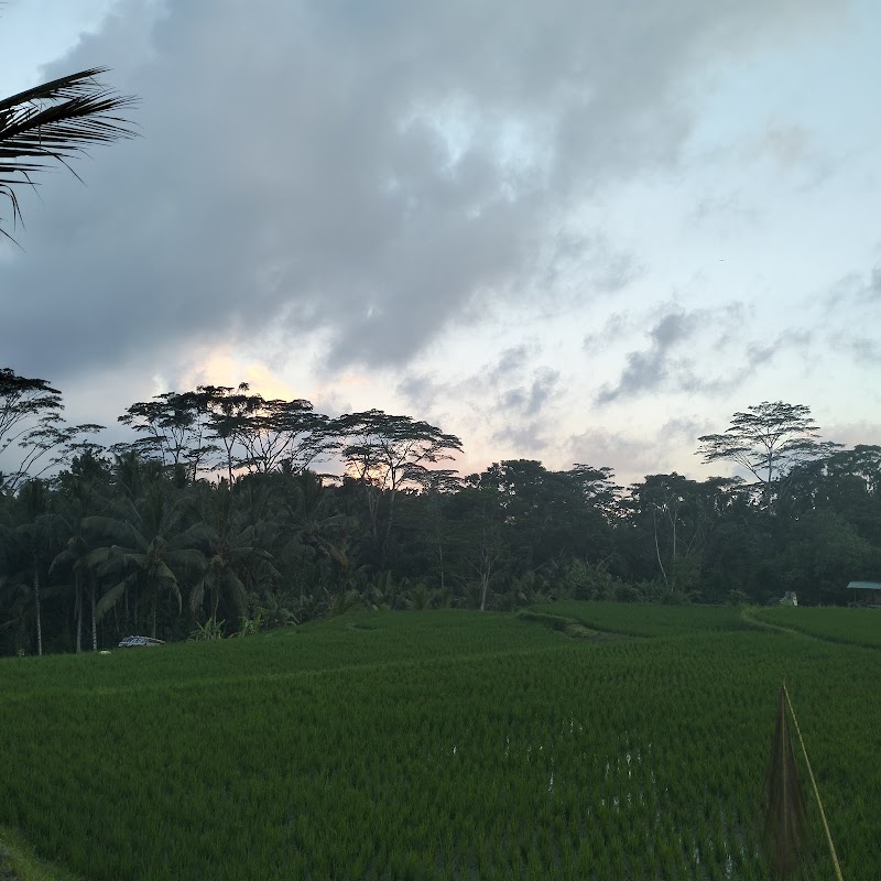 Puri Tangsub - Puri Tangsub, Jl. Raya Sebali, Keliki, Kec. Tegallalang, Kabupaten Gianyar, Bali 80561, Indonesia