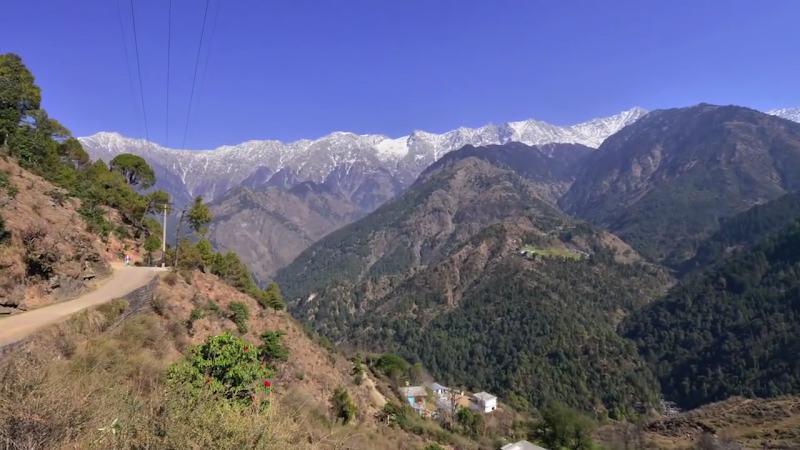 Naddi Road - Naddi Road, Naddi Rd, Naddi, Dharamshala, Himachal Pradesh 176216, India