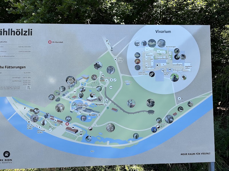 Dählhölzli - Dählhölzli Tierparkweg 3, 3005 Bern, Switzerland