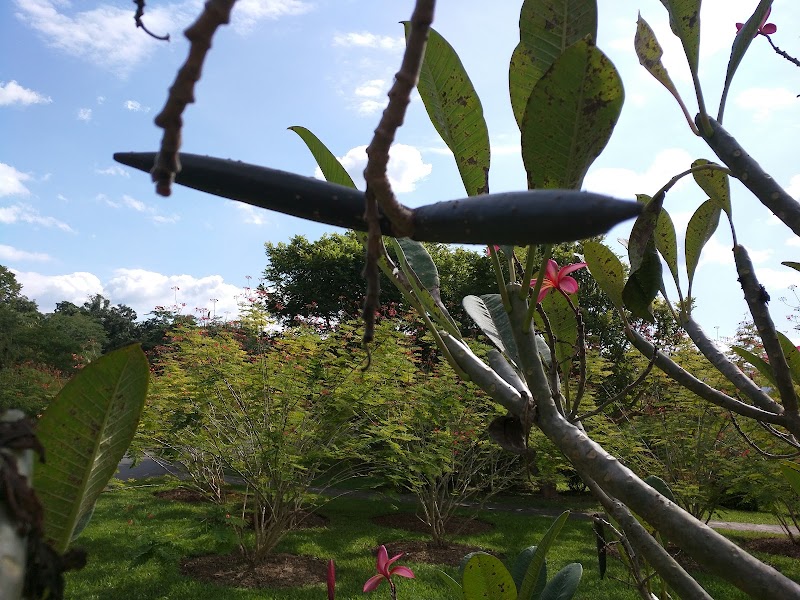 Xishuangbanna Tropical Botanical Garden （North Gate） - Xishuangbanna Tropical Botanical Garden （North Gate）, W7J2+RX3, Mengla County, Xishuangbanna Dai Autonomous Prefecture, Yunnan, China, 666303