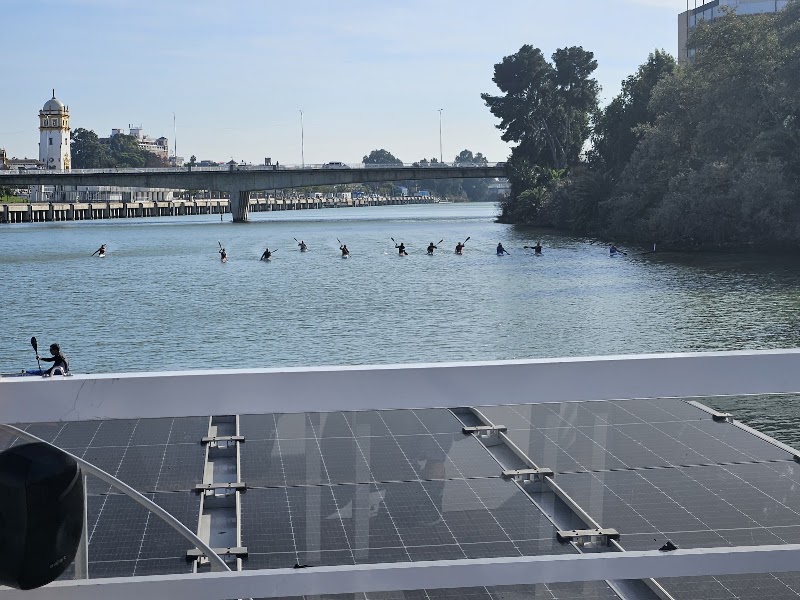Eco River Cruise meeting point - Eco River Cruise meeting point Puente de S. Telmo, 7, 41013 Sevilla, Spain