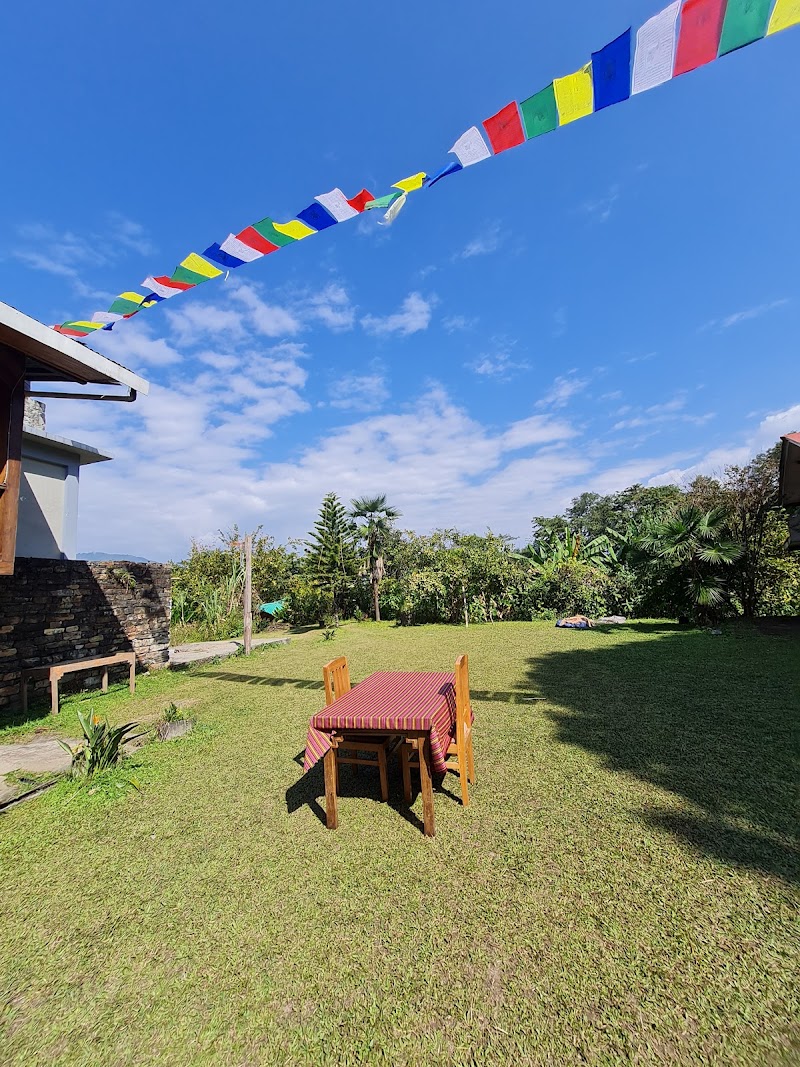 Yangsum Heritage Farm, Yangsum Chingthang - Yangsum Heritage Farm, Yangsum Chingthang Yangsum Chingthang, Block, Rinchenpong, Sikkim 737111, India
