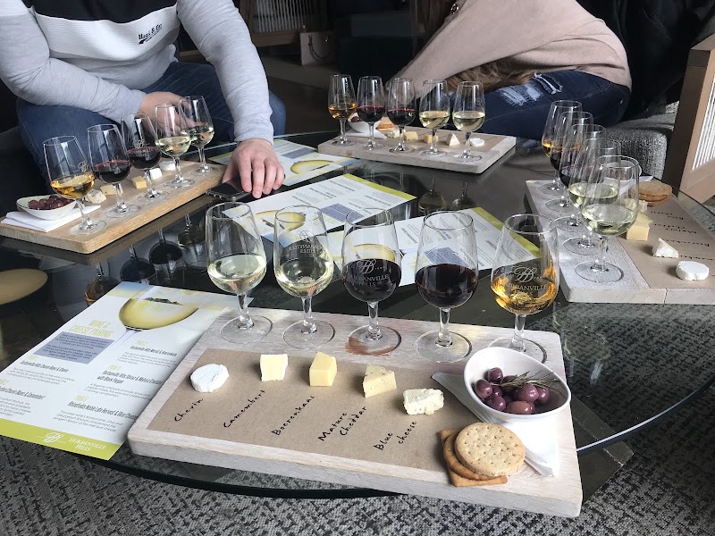 Durbanville Hills Winery - Durbanville Hills Winery, Tygerberg Valley Rd, Cape Farms, Cape Town, 7550, South Africa
