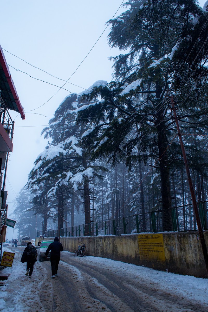 Gwaldam State - Gwaldam State, Uttarakhand, India