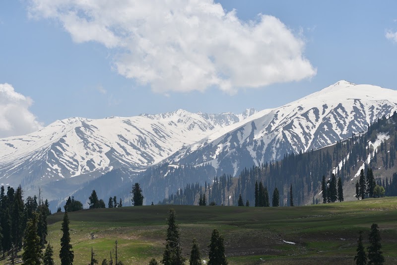Phase 1, Gulmarg, Srinagar, J&K - Phase 1, Gulmarg, Srinagar, J&K phase 1, 1, Gulmarg Road, Gulmarg, Forest Block, 193403