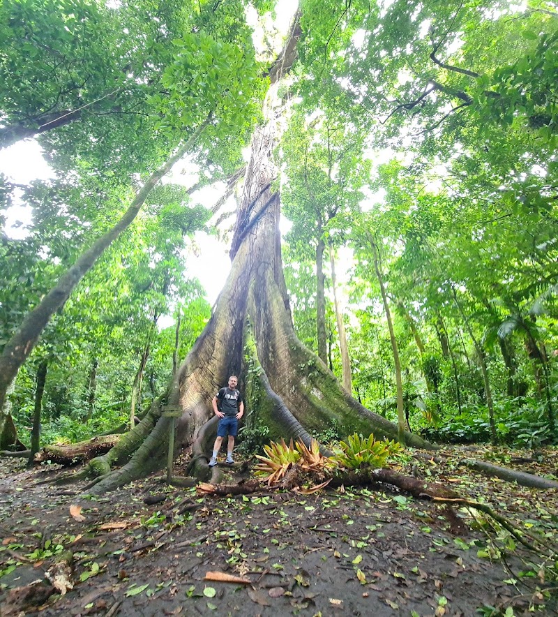 Arenal Volcano - Arenal Volcano Arenal Volcano, Alajuela Province, San Carlos, Costa Rica