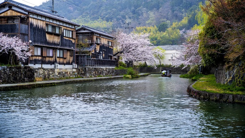 Hachiman-bori Moat - Hachiman-bori Moat Osugicho, Omihachiman, Shiga 523-0837, Japan