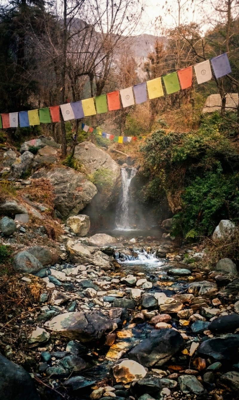 WOODS JIBHI - WOODS JIBHI WOODS JIBHI , BANJAR, Rashala, Himachal Pradesh 175123, India