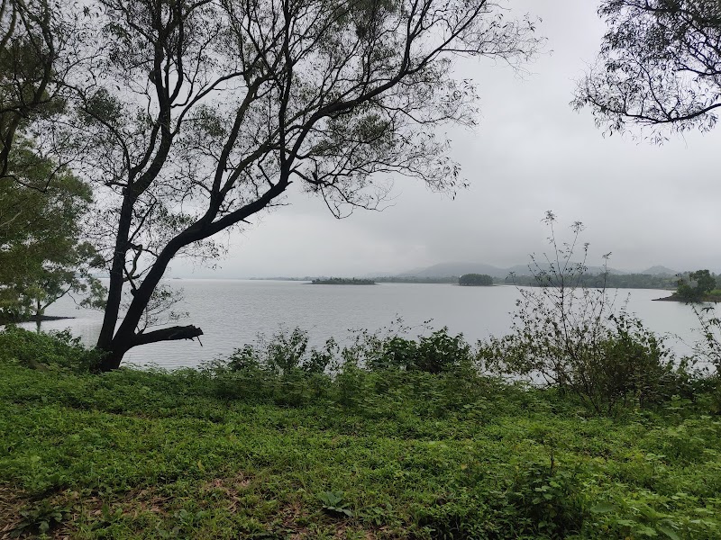 Ashoka waterfall - Ashoka waterfall PF6F+JV8, Vihigaon, Maharashtra 421602, India