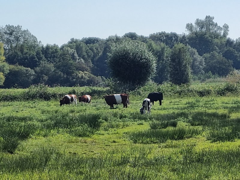 Polderpark Cronesteyn - Polderpark Cronesteyn, Polderpad 8, 2322 LB Leiden, Netherlands