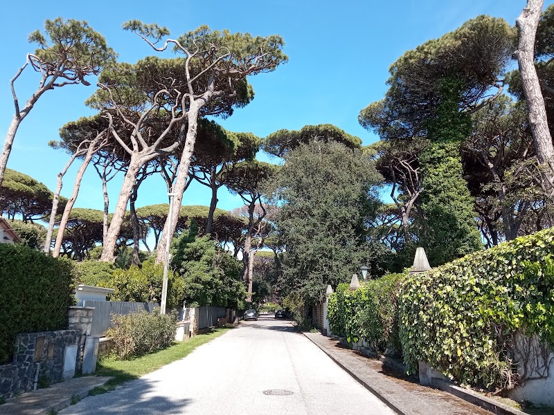 Toni Fregene - Toni Fregene, Lungomare di Ponente, 19, 00054 Fregene RM, Italy