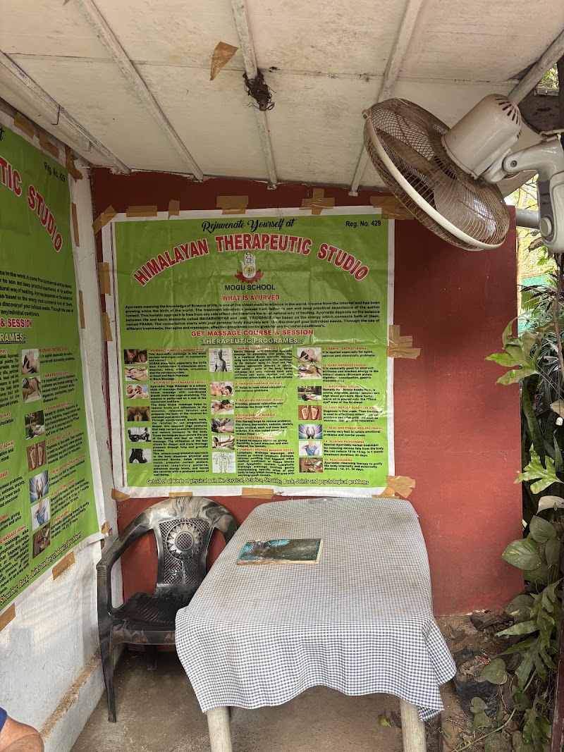 Himalayan therapeutic studio (Mogu School) - Himalayan therapeutic studio (Mogu School) Mohanbagh, Palolem, Canacona, Goa 403702, India