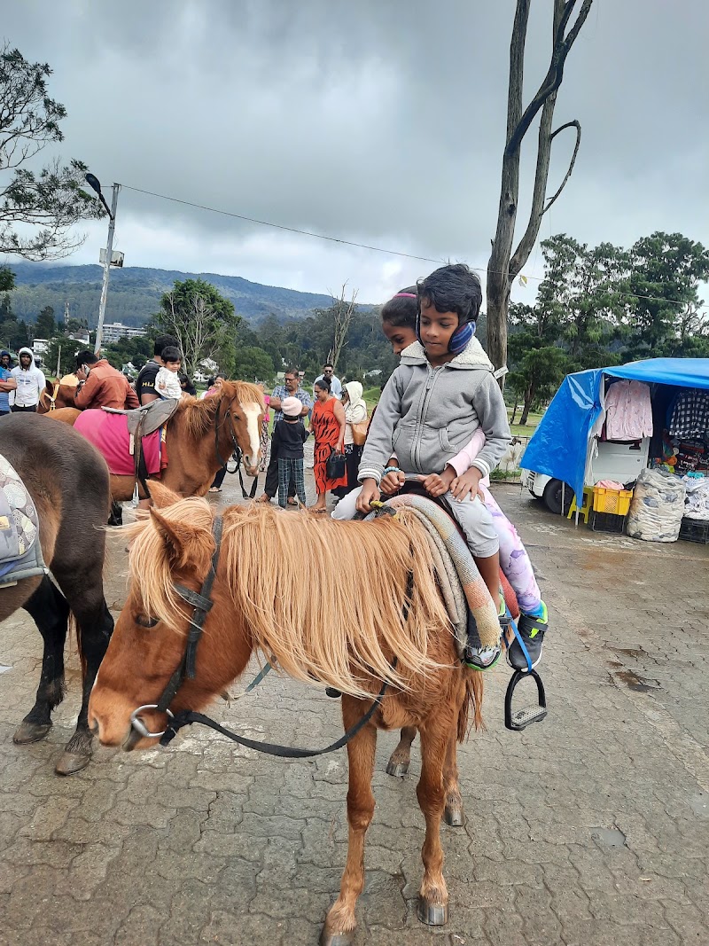 Gregory Park - Gregory Park, XQ4G+PX6, Peradeniya-Badulla-Chenkaladi Hwy, Nuwara Eliya 22200, Sri Lanka