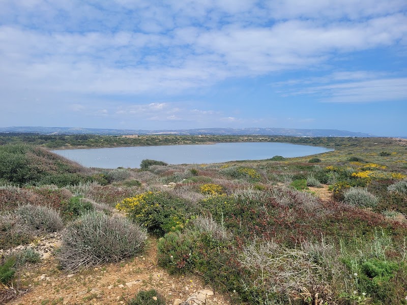 Riserva naturale orientata Oasi Faunistica di Vendicari - Riserva naturale orientata Oasi Faunistica di Vendicari, Contrada Vendicari, 96017 Noto SR, Italy