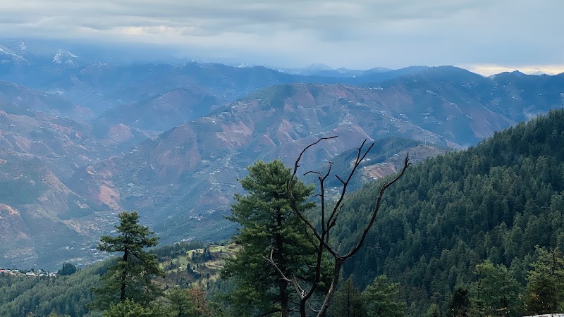 Club Mahindra Shimla - Club Mahindra Shimla, Pines, Gables, Mashobra, Shimla, Himachal Pradesh 171007, India