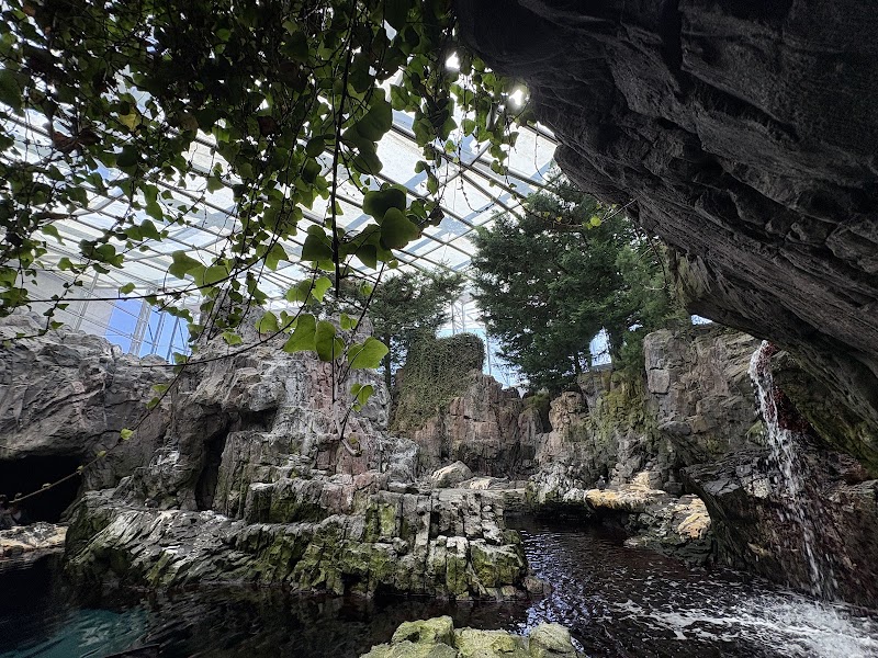 Oceanário de Lisboa - Oceanário de Lisboa, Esplanada Dom Carlos I s/nº, 1990-005 Lisboa, Portugal