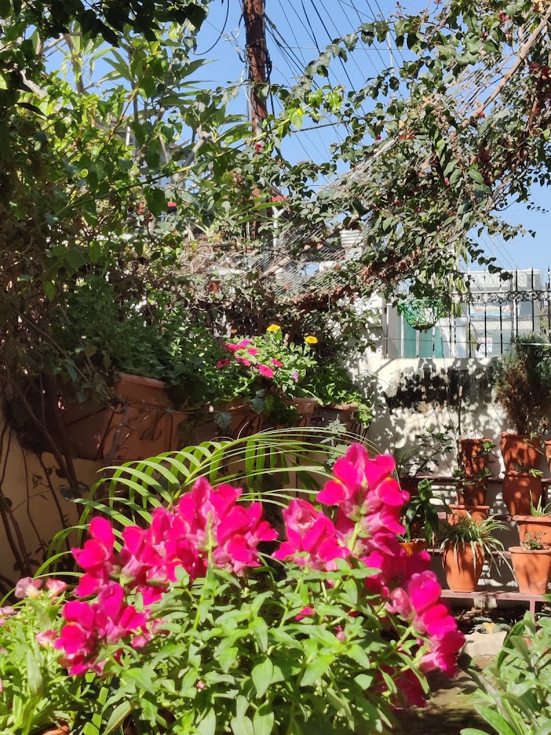 Uttarakhand Himalaya Homestay VO - Uttarakhand Himalaya Homestay VO 6, Pushpanjali Enclave, GMS Rd, Pushpanjali Enclave, Shakti Enclave, Kanwali, Dehradun, Uttarakhand 248171, India