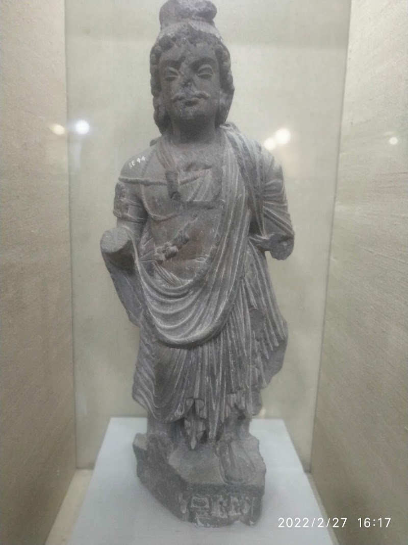 Government Museum and Art Gallery - Government Museum and Art Gallery Sector, 10C, Sector 10, Chandigarh, 160011, India