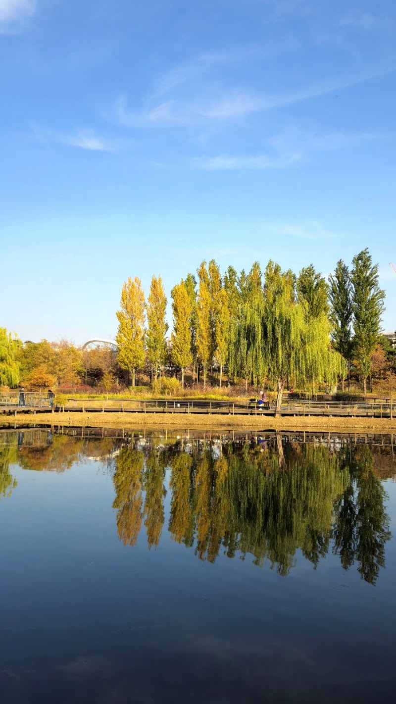 Lake Garden