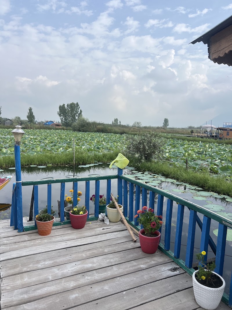 Houseboat Wild Rose - Dal Lake -Best Houseboat in Srinagar ,Kashmir - Houseboat Wild Rose - Dal Lake -Best Houseboat in Srinagar ,Kashmir, ghat no. 15, Nehru park, near floating post office, Karapura, Rainawari, Srinagar, 190003