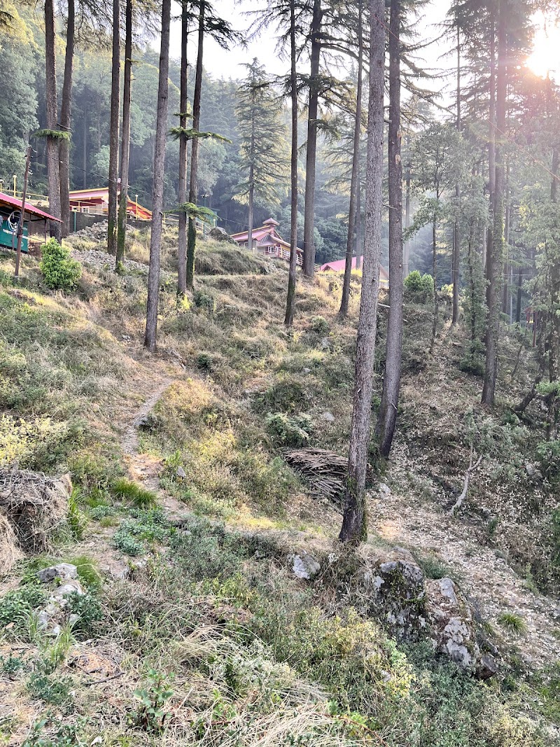 Glenmoor Cottages - Glenmoor Cottages Above Mall Road, Upper Dharmashala, 68WC+CW2, McLeod Ganj, Dharamshala, Himachal Pradesh 176216, India
