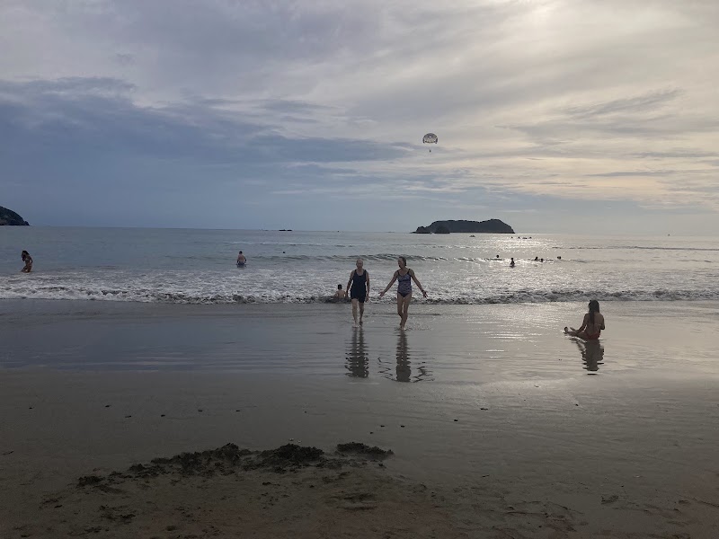 Manuel Antonio National Park | Hola Nature | Guided Wildlife and Beach Tours - Manuel Antonio National Park | Hola Nature | Guided Wildlife and Beach Tours, Next to Manuel Antonio National Park, Provincia de Puntarenas, Manuel Antonio, 60601, Costa Rica