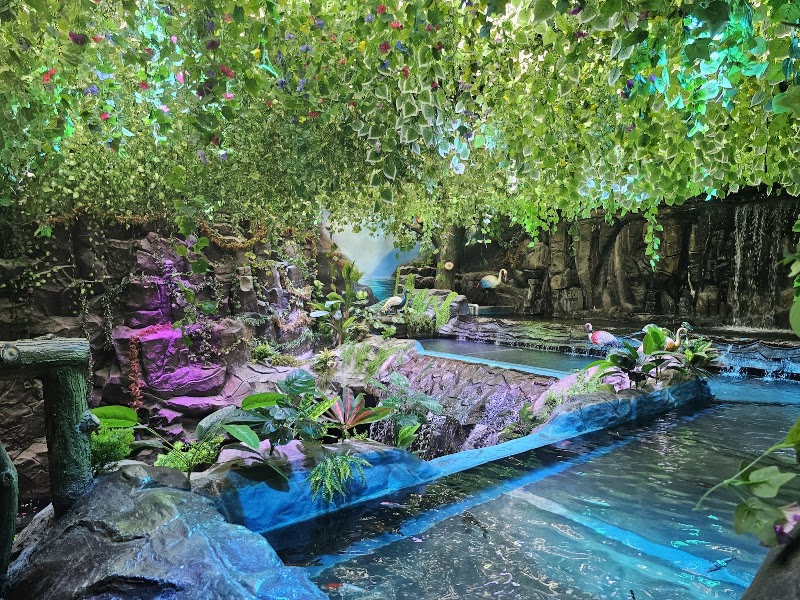 Aquarium Paradise