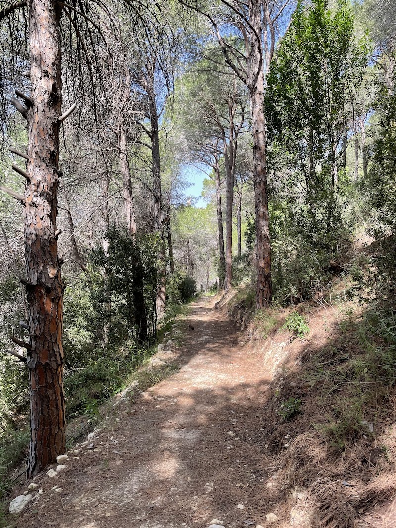 Bentael Nature Reserve - Bentael Nature Reserve, 4MRV+69P, Fidar El Tahta, Lebanon