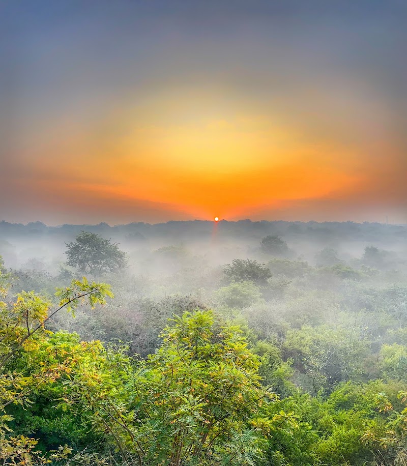 Aravali Biodiversity Park - Aravali Biodiversity Park F4J6+PJ4, Acharya Shree Tulsi Marg, DLF Phase 3, Sector 24, Gurugram, Haryana 122002, India