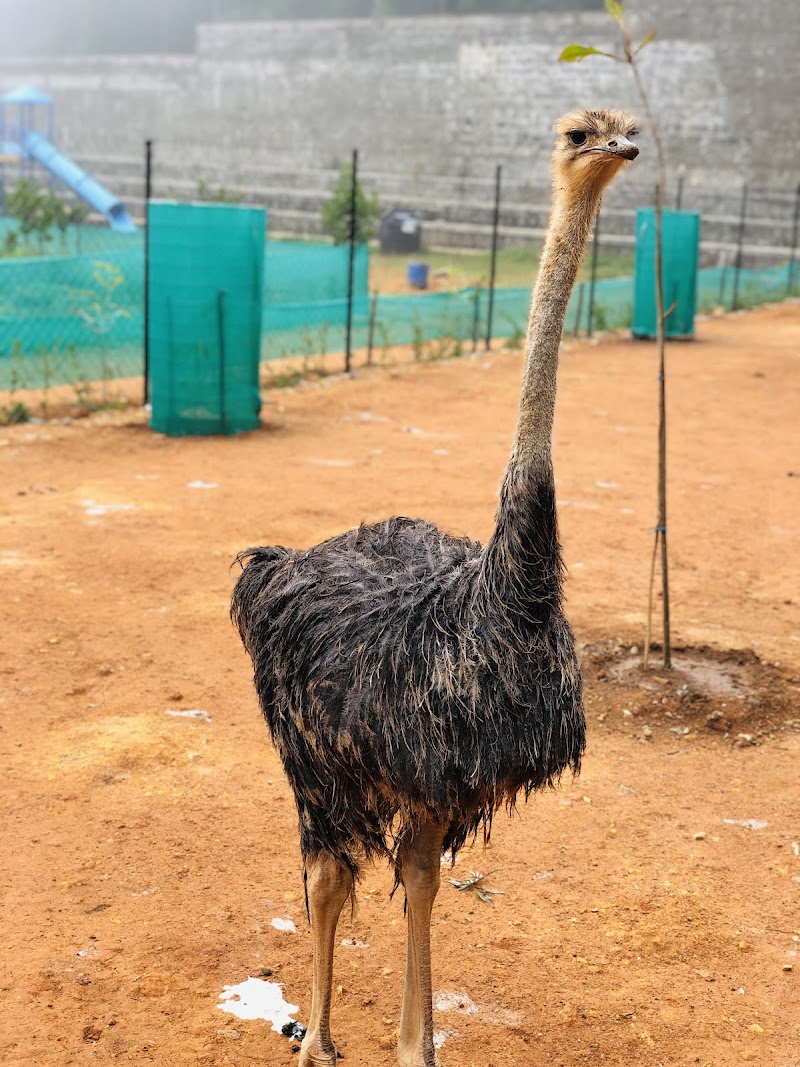 PEEKU PARK YERCAUD - PEEKU PARK YERCAUD Via pagoda view point, Pottukadu, Village, Yercaud, Tamil Nadu 636601, India