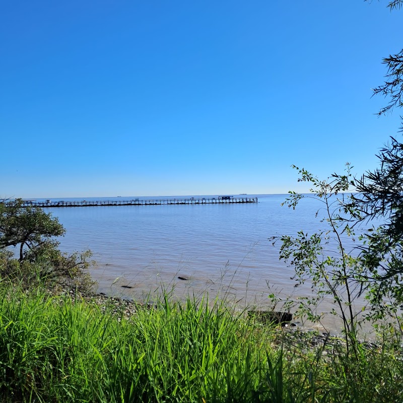 Acceso Sur - Reserva ecológica Costanera Sur - Acceso Sur - Reserva ecológica Costanera Sur, Cam. de los Plumerillos, C1107 Cdad. Autónoma de Buenos Aires, Argentina