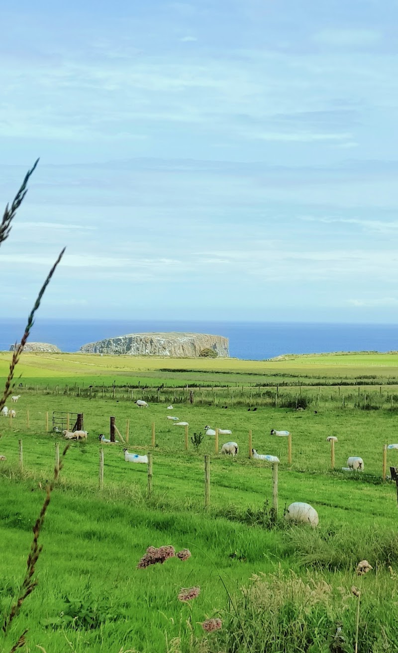 Causeway Coastal Route - Causeway Coastal Route, Ballintoy, Ballycastle BT54 6NE, UK