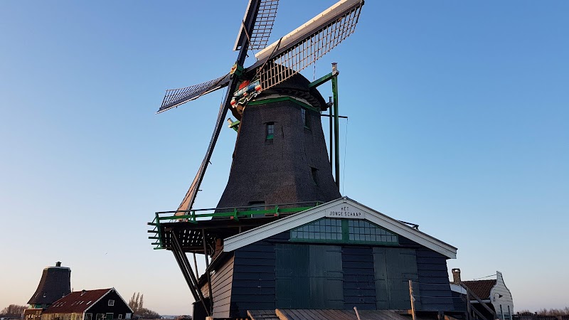 Het Jonge Schaap, Zaandam