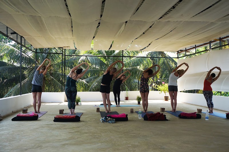 Yoga Teacher Training - Diya Yoga Retreats Goa - Yoga Teacher Training - Diya Yoga Retreats Goa Office 3, Ashvem beach inn, Wellness Inn resort, Near Bhumika Devi Temple Ashvem Ashvem, Mandrem, Goa 403527, India