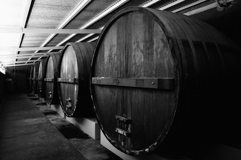 Winery Tours Hawke's Bay