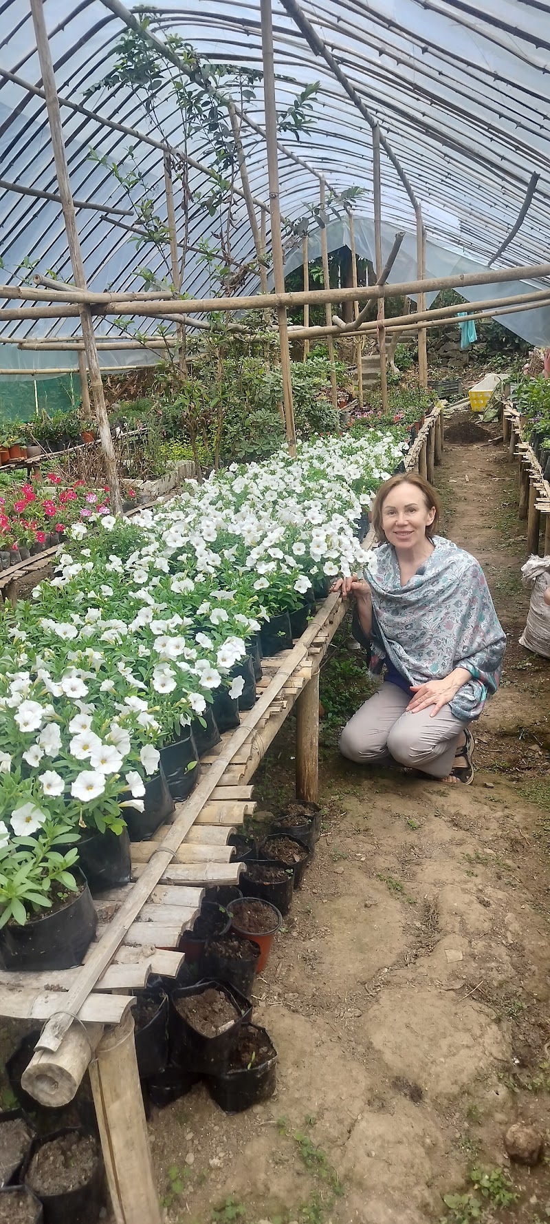 Tenam Garden Holistic Homestay - Tenam Garden Holistic Homestay, Dr. Grahams Homes, near Ronaldshay Park, Deolo, Kalimpong, West Bengal 734316, India
