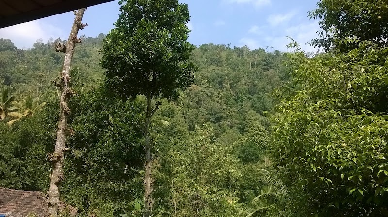 Mushroom Valley Homestay - Mushroom Valley Homestay Chithirapuram, Aadit, Kerala 685565, India