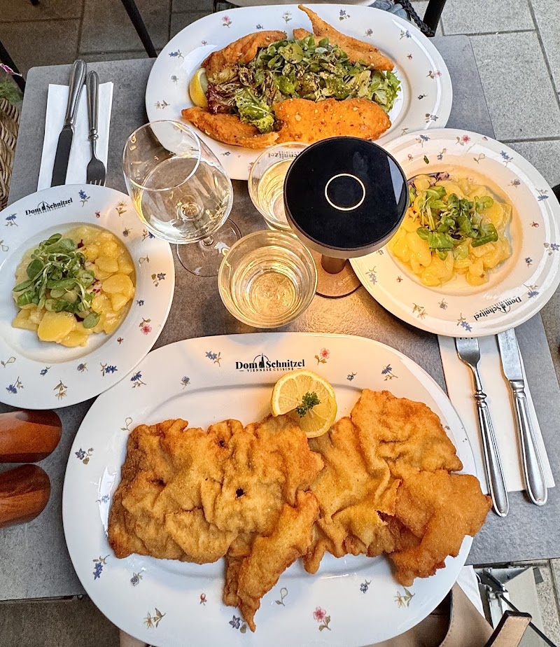 Dom Schnitzel (Petersplatz) - Dom Schnitzel (Petersplatz) Peterspl. 3, 1010 Wien, Austria