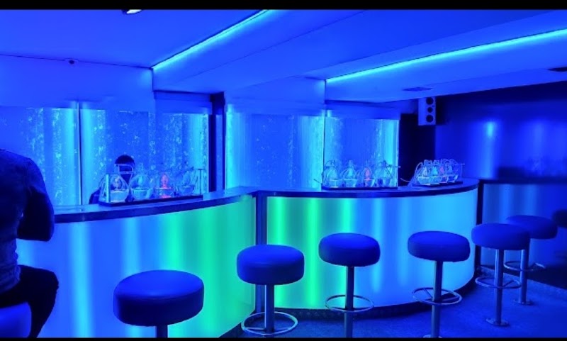 Karlovy Lazne - Nightclub - Karlovy Lazne - Nightclub Smetanovo nábř. 198/1, Staré Město, 110 00 Praha-Praha 1, Czechia