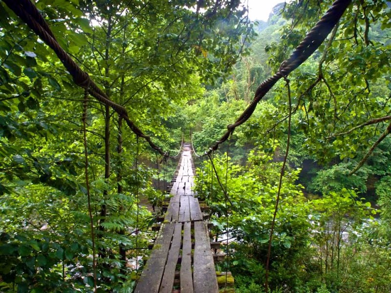 Mtirala National Park - Mtirala National Park, MV6H+M57, Chakvistavi, Georgia