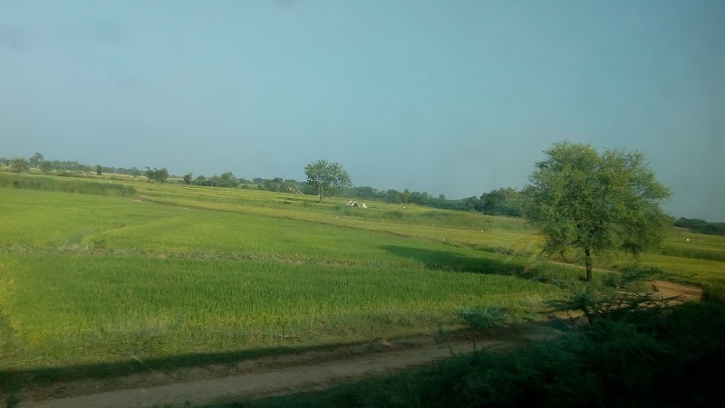 Mahbubnagar - Mahbubnagar, Telangana, India